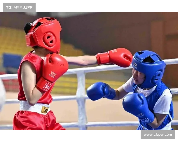 拳击 赛事 合作、拳击竞赛