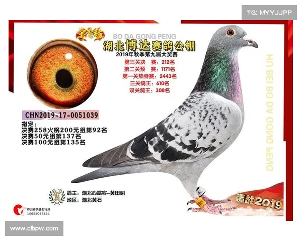 雅戈公棚